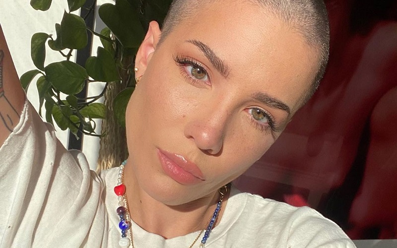 Halsey: Anuncia álbum Com Produção De Músicos Do Nine Inch Nails; Saiba ...