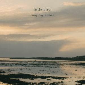 Rainy Day Woman: “Little Bird” traz a atmosfera etérea e intangível da  dupla inglesa – Roadie Music